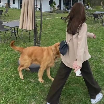 癌症
